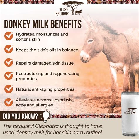 An Introduction to milk donkey health - The expert blog 3495