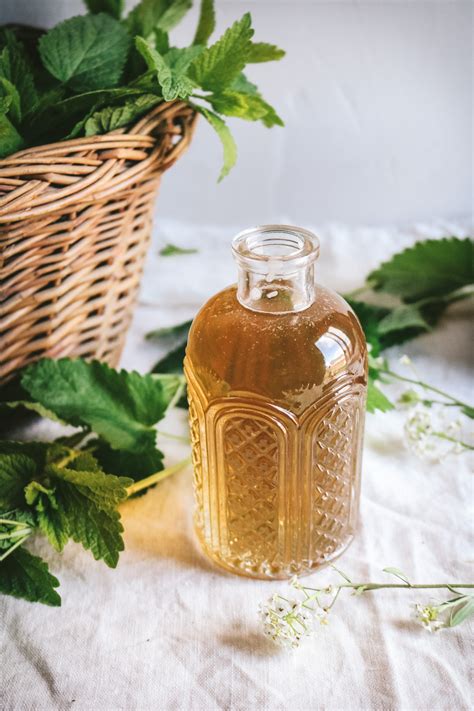 How to Dry Sage from the Garden {3 Easy Methods}
