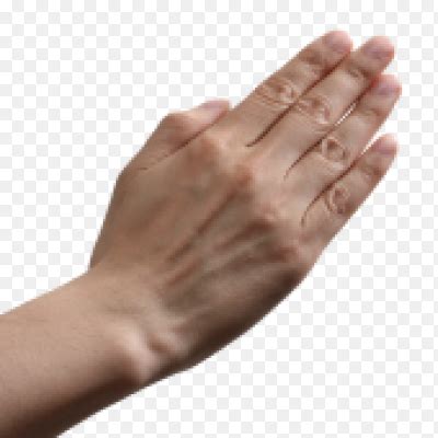 Наклейка рука ладонь PNG - AVATAN PLUS