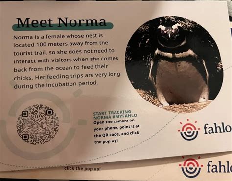 100 Fahlo qr codes ideas | qr codes animals, coding, qr code