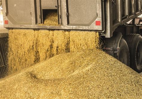 Fertilizer Daily — Аграрные новости России, самая свежая информация о ...