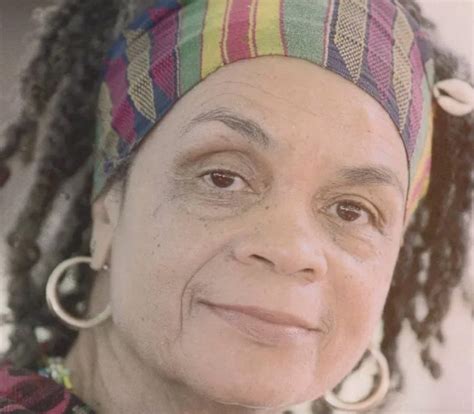 Academic circles clash over the interpretation of sonia sanchez 2