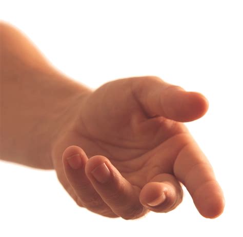 Hands PNG, hand image free transparent image download, size: 728x711px