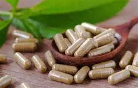Mexico to use traditional medicine, more Cuban doctors, Health News, ET ...