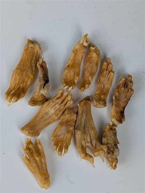 how to rabbit itching without vet 4