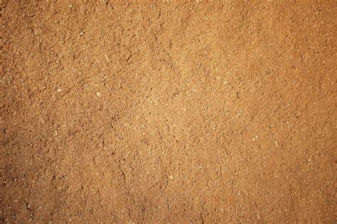 18,300+ Mud Wall Stock Photos, Pictures & Royalty-Free Images - iStock