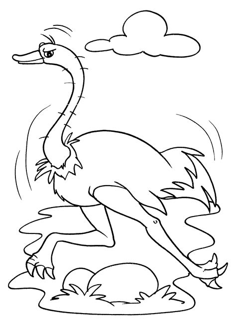 Desenhos De Aves Para Colorir - 5
