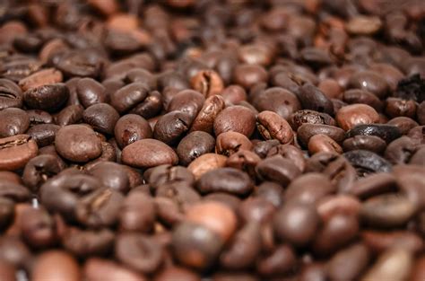 Kostenloses Foto zum Thema: braun, kaffee, kaffeebohnen