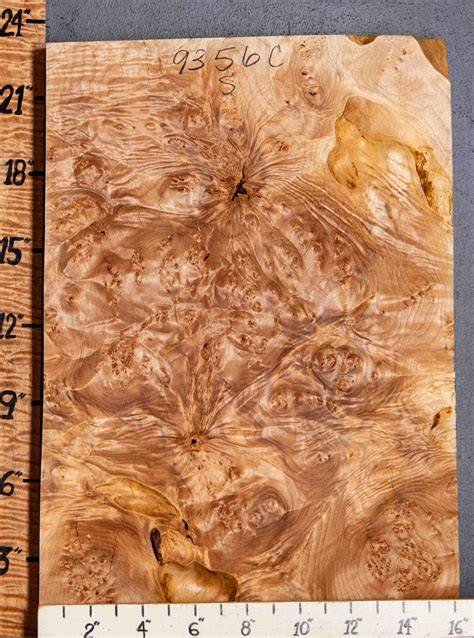 spalted burl maple block nwt