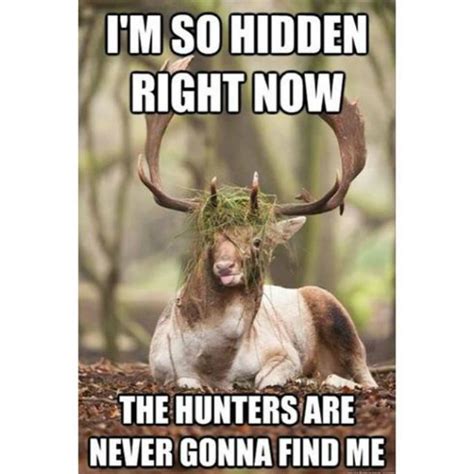 Funnier Meme | Hunting