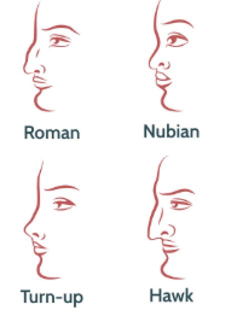 Personality Test: Your Nose shape reveals these personality traits