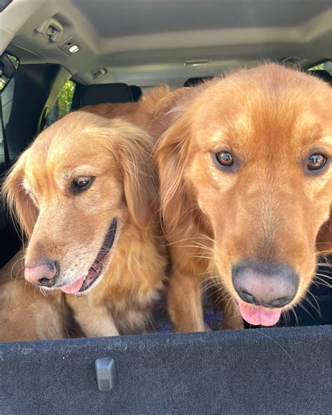 Cindy barker election results are causing a stir in the district 34