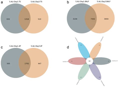 Full article: Throat microbiota drives alterations in pulmonary ...