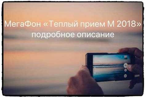 Тариф мегафон «теплый прием м»: подробное описание