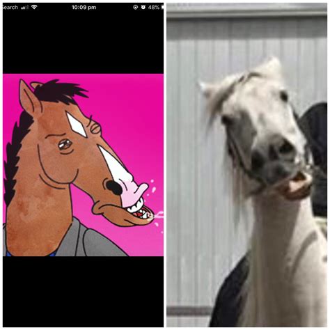 Recently went horse riding and my sisters horse reminded me of BJ- don