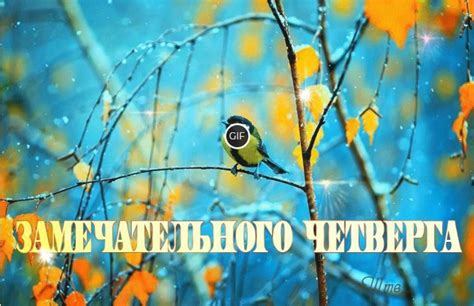 Гиф картинка замечательного четверга