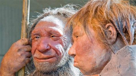 Denisovan - Alchetron, The Free Social Encyclopedia