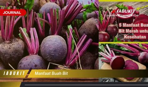Ketahui 5 Manfaat Buah Bit yang Jarang Diketahui