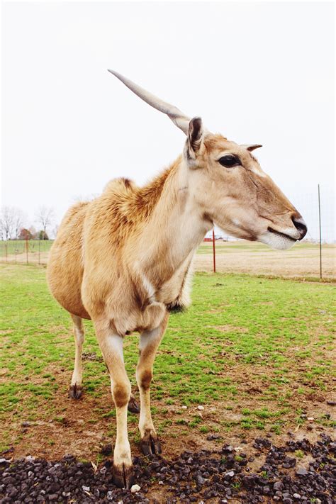 Road trip: Nashville to Memphis — love, Maddily