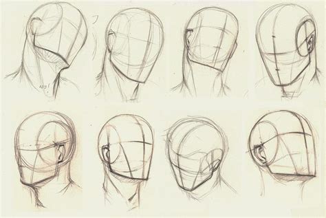Pin on Референсы | Drawing heads, Sketches, Anatomy drawing