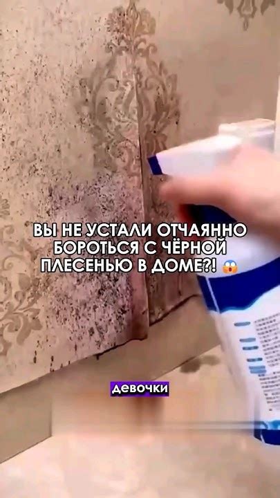 😱 Это самое лучше средство против чёрной плесени, которое я только ...