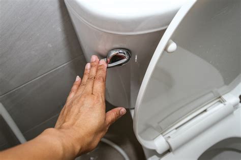 How Toilet Flush Works | Storables