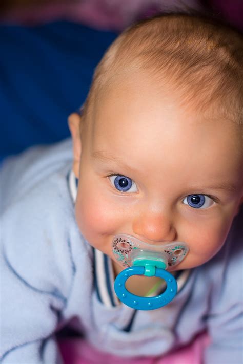 100+ kostenlose Schnuller und Baby-Bilder - Pixabay
