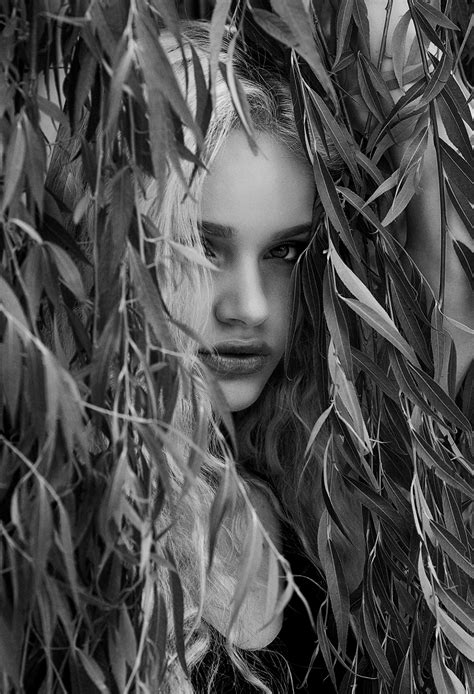 Wild beauty on Behance