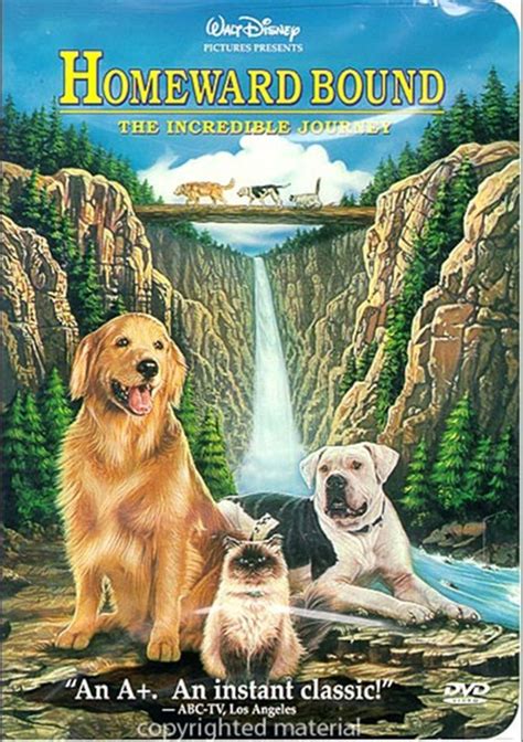 Homeward Bound: The Incredible Journey/ The Jungle Book (2- Pack) (DVD ...