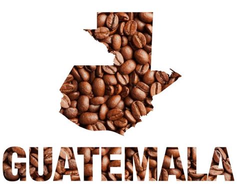 Coffee Guatemala Coffee Fresh Roasted Coffee
