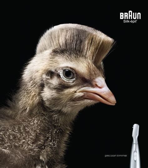 25 Creative and Inspiring Animal Themed Print Advertisements for your ...