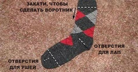 Одежда для собаки