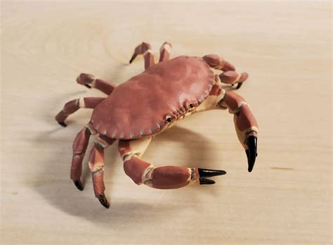 Edible Crab (Marine Life by Papo) - Animal Toy Blog