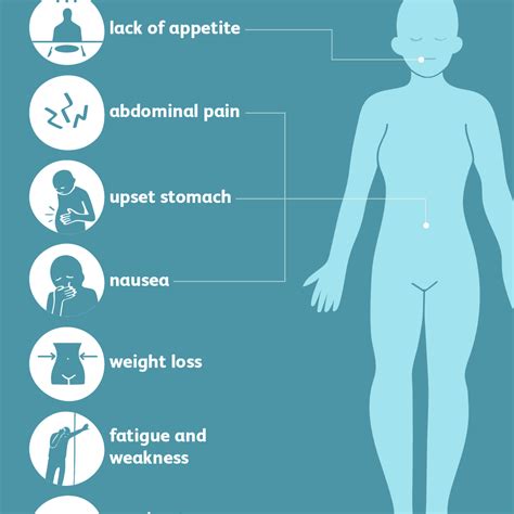 Tapeworm Infection: Signs, Symptoms, and Complications