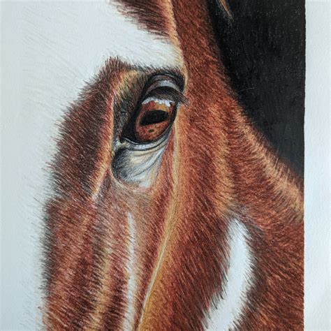 Horse pencil drawing | Domestika