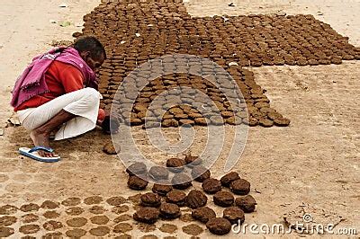 Dried Cow Dung Editorial Image | CartoonDealer.com #42135062