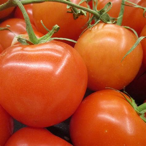 Warm Season Vegetables For Spring - Canyon News