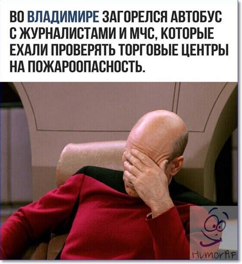 Смешные фото онлайн (99 картинок и фотографий)