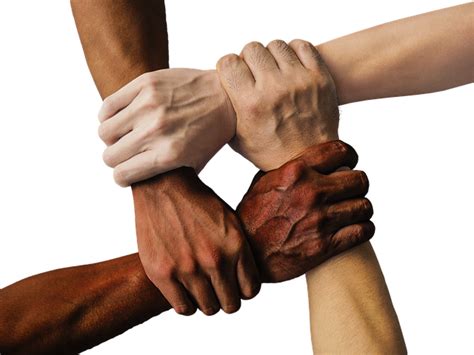 900+ Free Hand In Hand & Hands Images - Pixabay