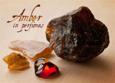 amber oil perfume benefits  jaxon victoria blog