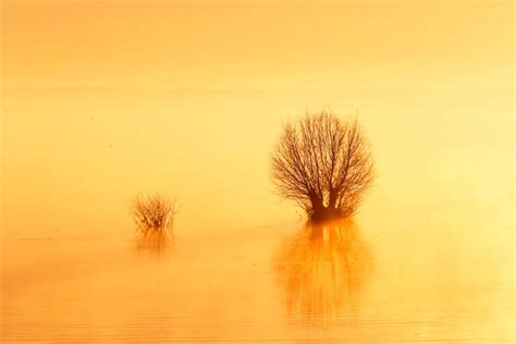 Der 3 - Photo et Tableau - Editions Limitées - Achat / Vente