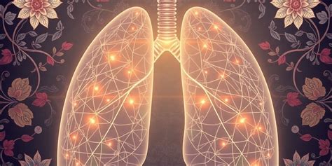 Respiratory System Overview
