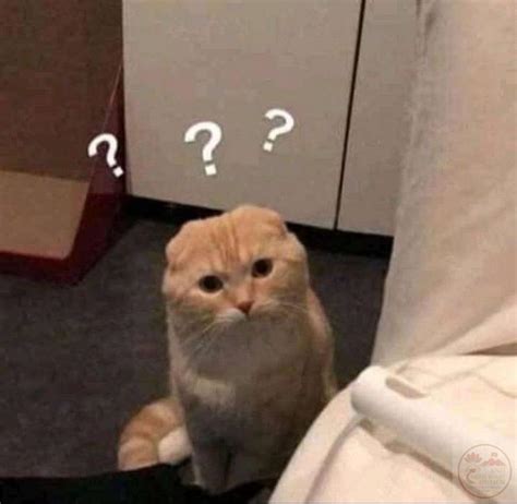 anh meme loat meme cham hoi boi roi cuc hai