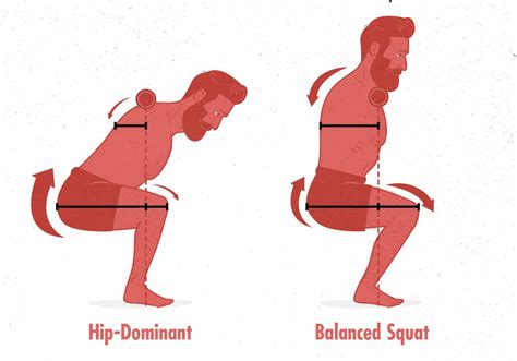 optimize  squat form diagram guide  proper technique