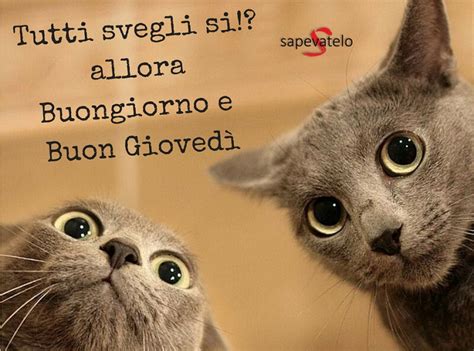 Buon Giovedì 29 - Sapevatelo