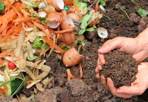 Over $3.54bn worth of food wasted annually in UAE - Hotelier Middle East