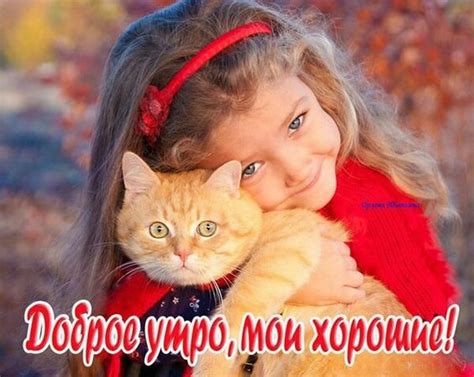 Открытка Доброе утро, мои хорошие!