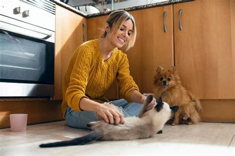 Pets and oxytocin, their connection