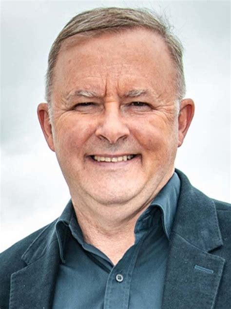 anthony albanese wiki bio networth gf wife family  dwb