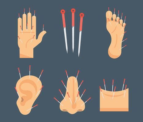 Acupuncture Vector Art, Icons, and Graphics for Free Download